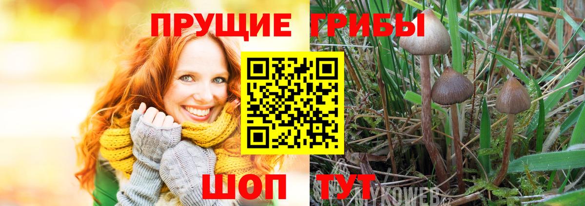 Галлюциногенные грибы мицелий  Галлюциногенные грибы Magic Shrooms  Похвистнево  Вход с VPN 