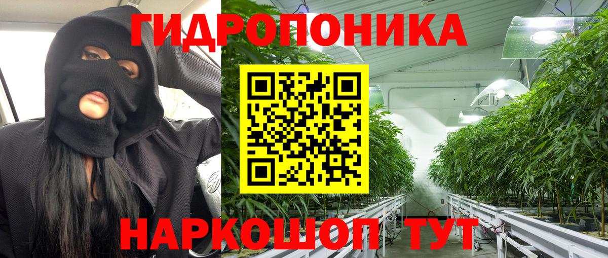 Похвистнево  Каннабис Bruce Banner  Вход с VPN  Каннабис Amnesia  Конопля White Widow  Канабис White Widow 